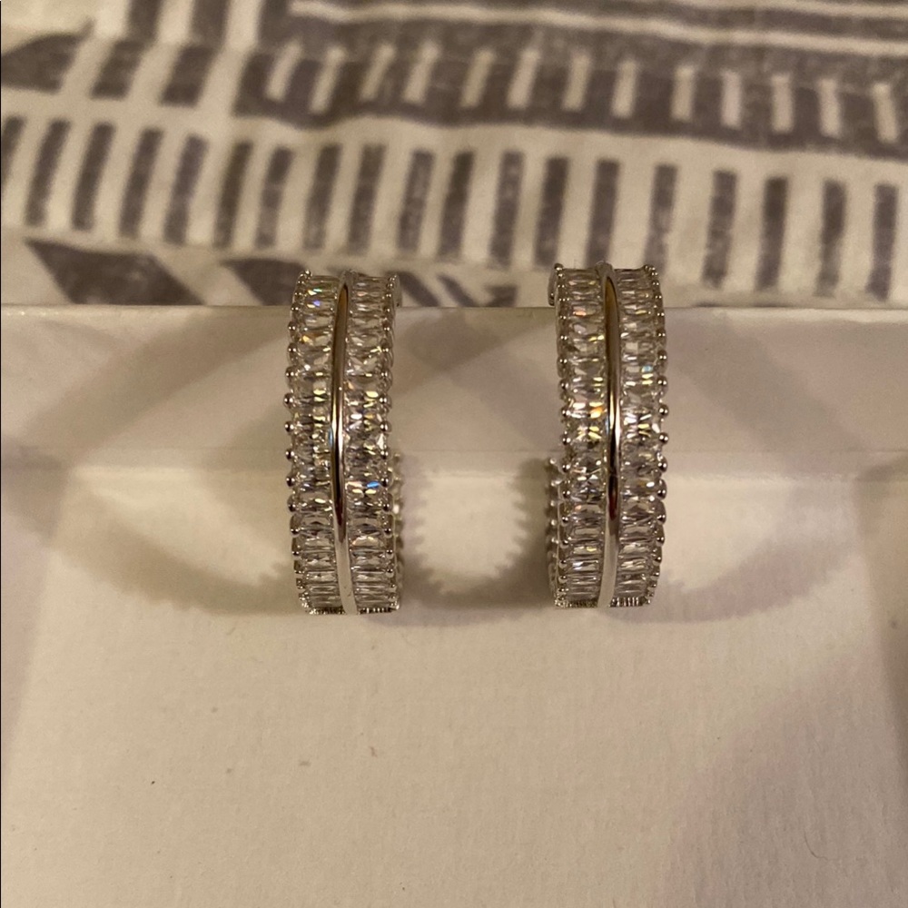 Elegant Silver Hoop Earrings